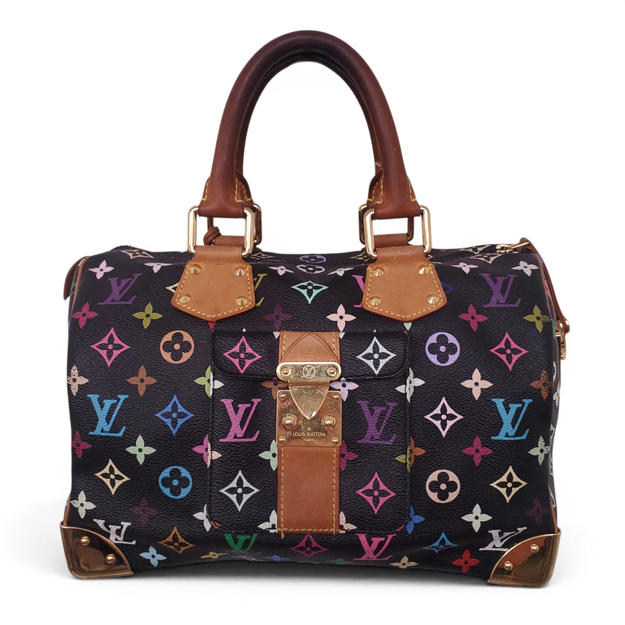 LOUIS VUITTON MULTICOLOURED SPEEDY BAG