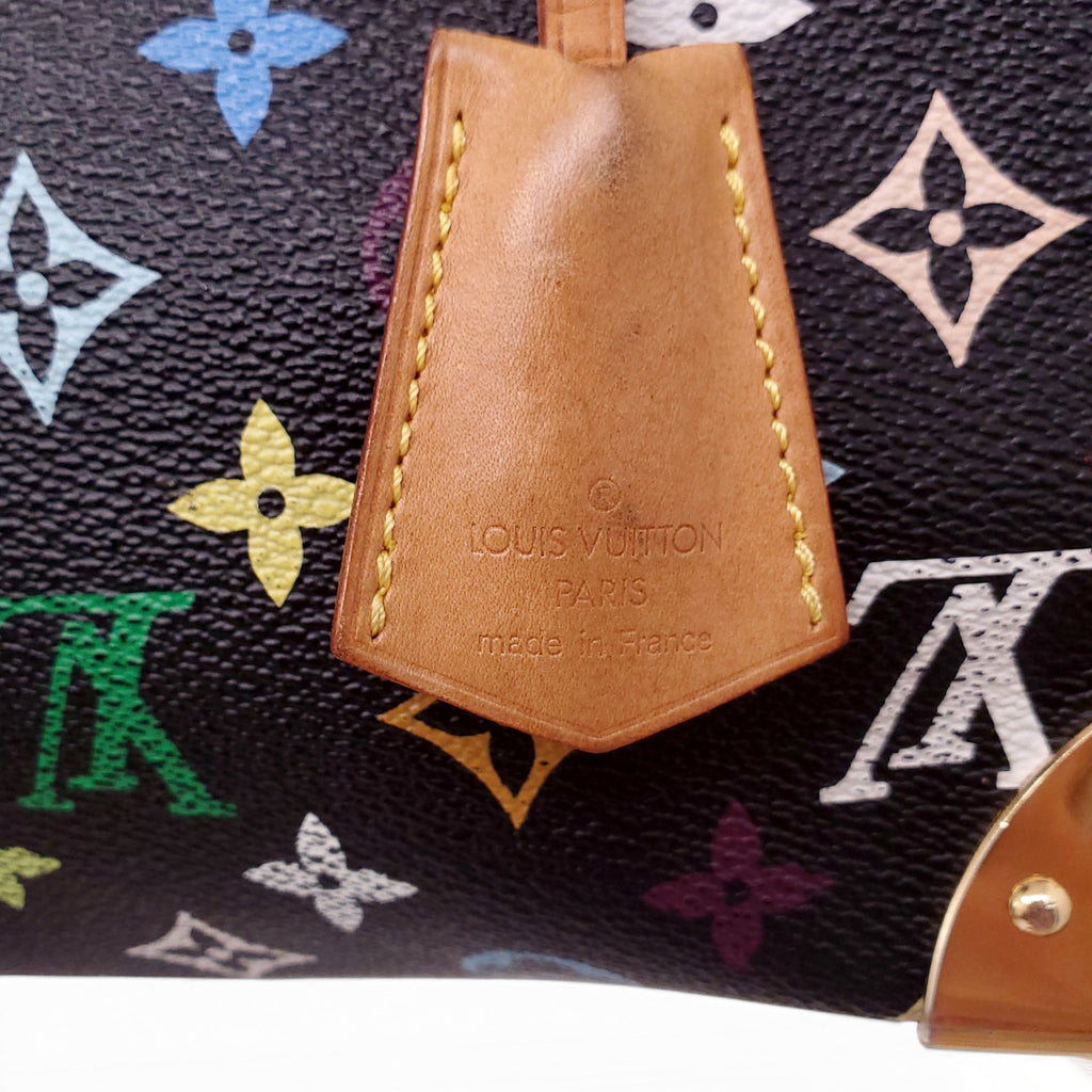 LOUIS VUITTON MULTICOLOURED SPEEDY BAG