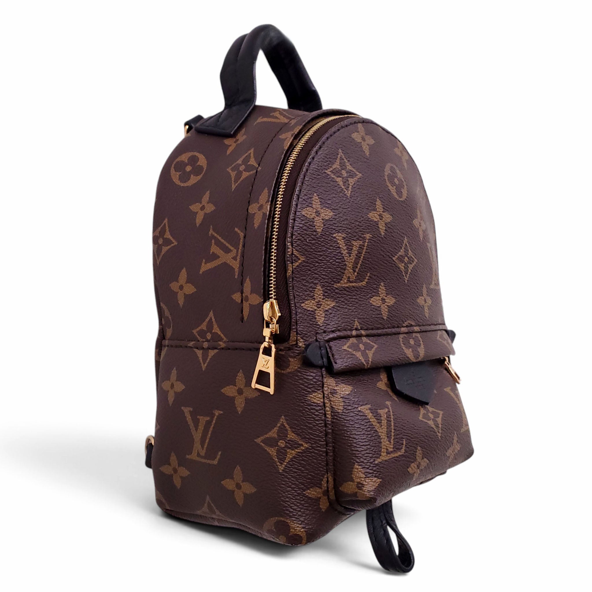LOUIS VUITTON PALM SPRING BACKPACK
