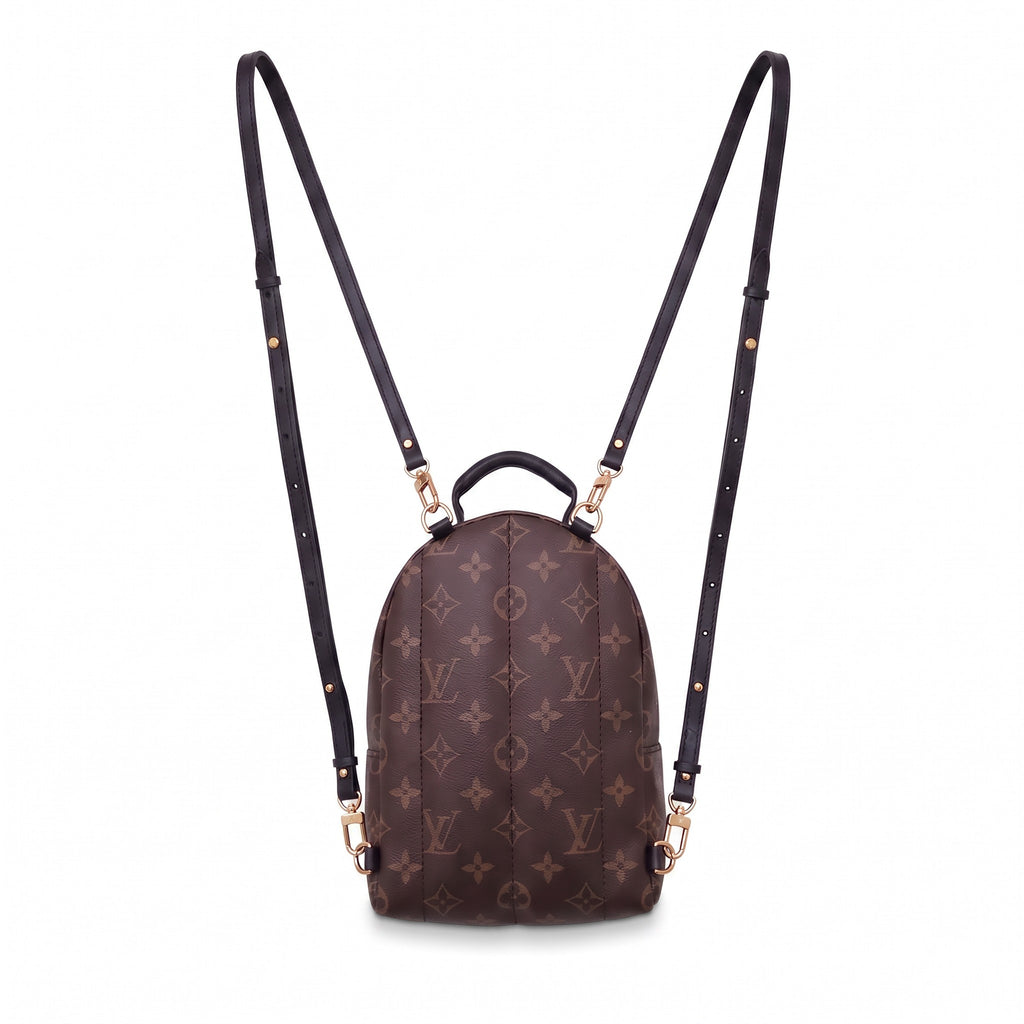LOUIS VUITTON PALM SPRING BACKPACK